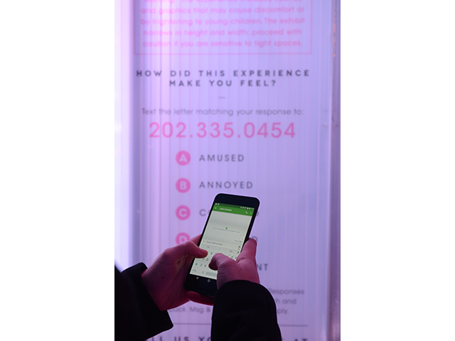 The Walkway - Interactive Public Art Exhibit